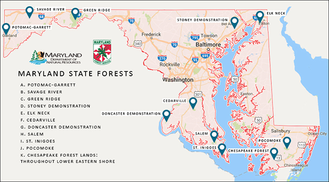 Maryland State Forests Location Map