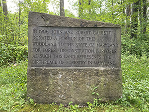 PGFS_CommemorativeStone_KindnessDemoForest.jpg