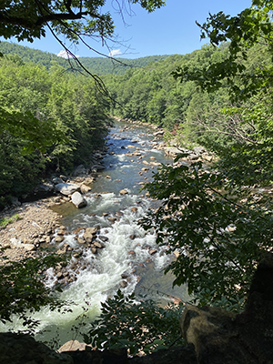 View of Potomac River from the Overlook Trail