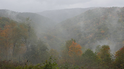 Autumn in Savage River State Forest