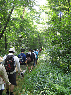 Savage River State Forest - Monroe Run Trail hikers