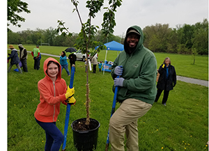 Tree planting