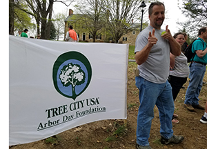 Tree planting