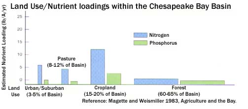 Chart showing how cropland, pastures and urban/surburban areas are top contributors to the high levels of nitrogen and phosphoru