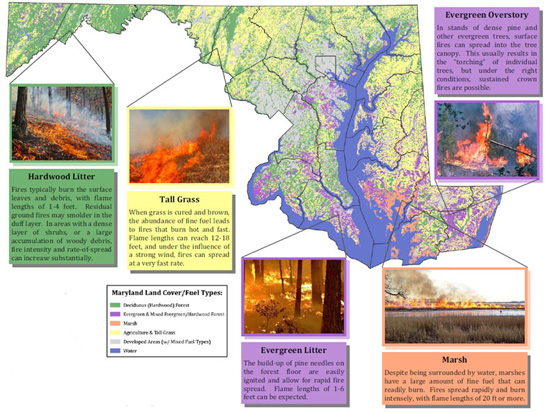 Map and diagram of fire types and behaviors - click for a larger image