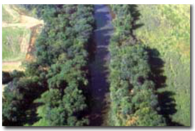 Photo of the fields at the nursery and Forest Service logo