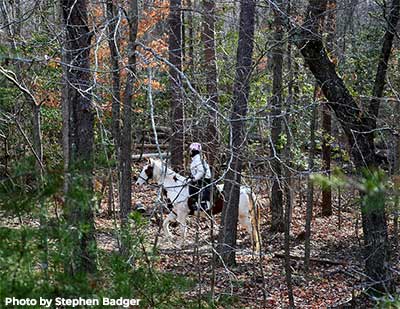 Rider in Cedarville State Forest - Photo by Stephen Badger