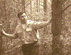 Forester in the woods.