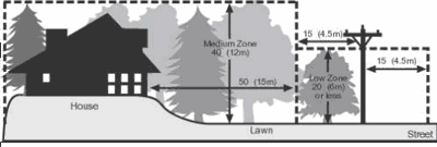 Utility company tree planting schematic