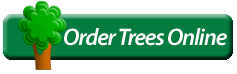 Order Trees Online