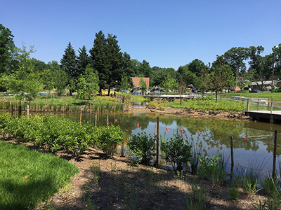 Kemp Mill Park photo by Margaret Lasher