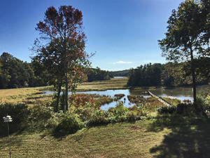 LWCF-Isabel-Gatewood.png