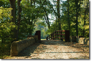 A trail over a bridge in the woods.