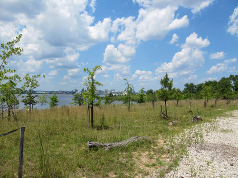 Masonville Cove Urban Wildlife Refuge Protected for Generations to Come