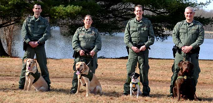 Dogs and their handlers