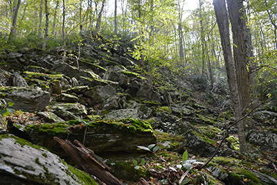 Gunpowder Falls State Park Wilderness Area