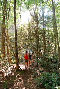 Hiking in Rocky Gap State Park