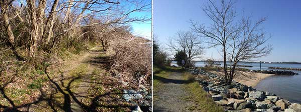 Shoreline and trails around the park - Photo by Adam Larson, MPS