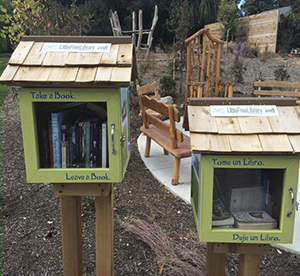 Constitution Gardens Outdoor Library