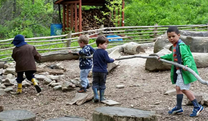 Building with tree branch at Irving Nature Center