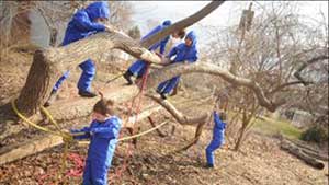 Climbing Trees with Ropes at Catonsville Presbyterian Church Family Child Care Center