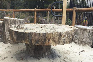 Constitution Gardens Tree Stump and Table Seats