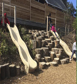 Constitution Gardens Park Slides with Tree Stump Stairs