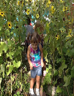 Hiding in the Flower Garden at the Key School