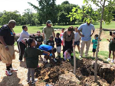 group tree planting