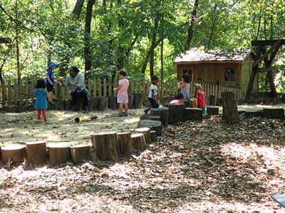 Path made of tree parts