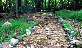 trail in the woods lined with sticks and paved with bark and wood trimmings