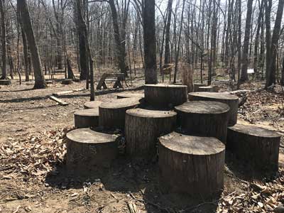 Stump stairs