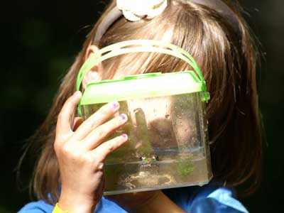 Girl looking at a frog