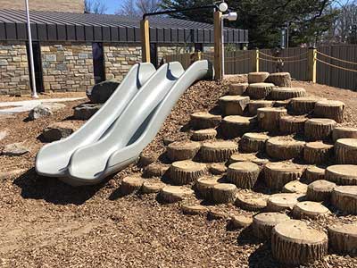 Stump stairs to slides