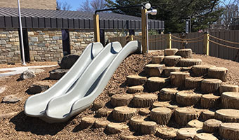 Sliding board with tree stump seats that make a climbing wall