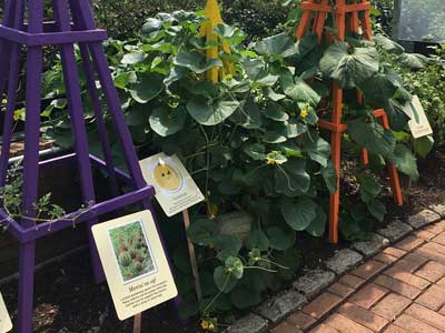 signs identifying plants