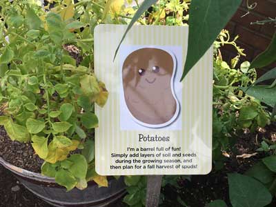 sign identifying potatos in a pot