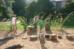 Tree Stump Jump at Brown Memorial Weekday School