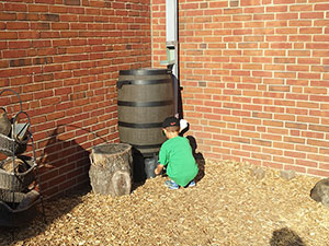 Children playing with water from rain barrell