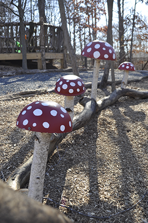 Mushrooms for drumming