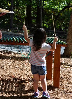 Xylophone for Music and Stretching