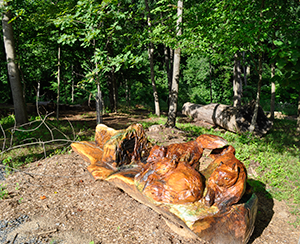 Robinson_Animal-friends-carved-into-a-bench.png