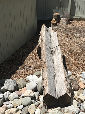 Natural Log Water Flume at Tree of Life Nature Preschool