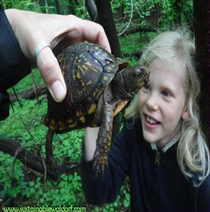 Up and Close Learning at Waldorf School in Baltimore