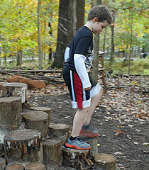 Climbing stumps