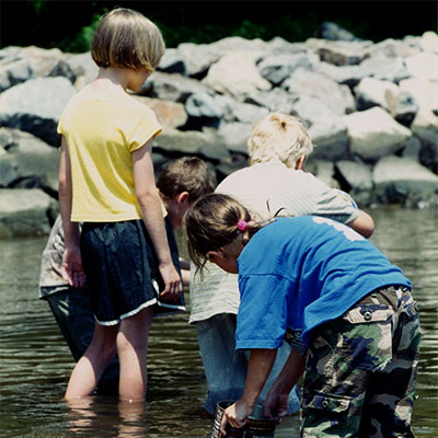 Kids in the water with nets