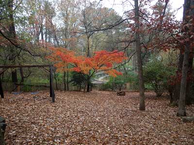 Wooded playground