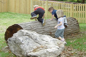 Climbing logs