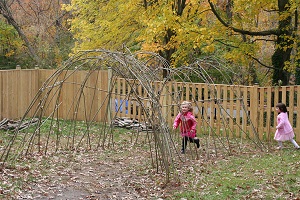 Willow tunnel