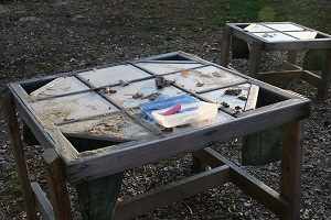 Nature art table